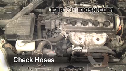 How to Add Coolant: Honda Civic (1996-2000) - 1997 Honda Civic LX 1.6L